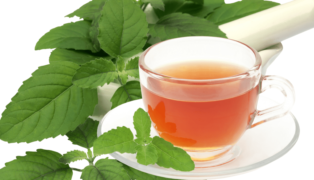 tulsi drops